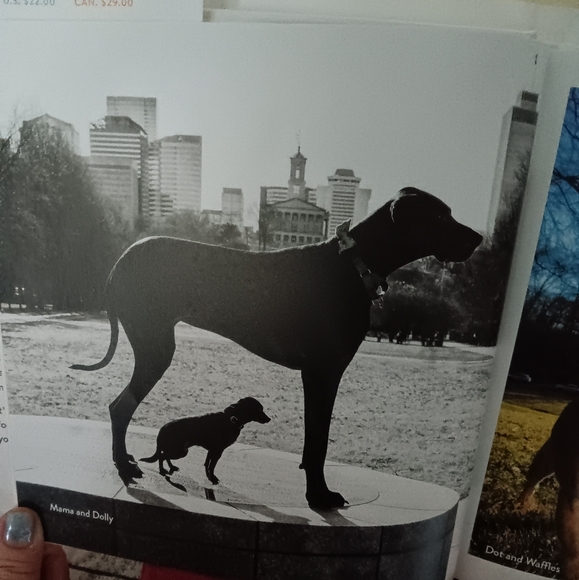 Big Dog, Little Dog Book - Picture 5 of 10